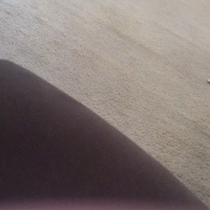 Meet your Posher, Monique